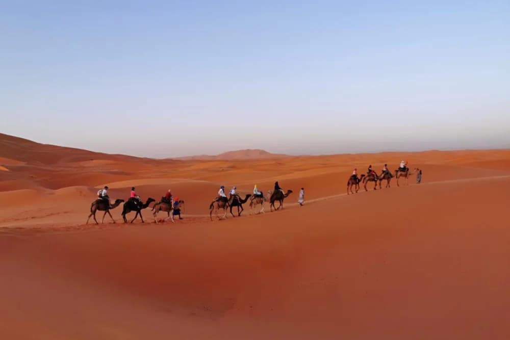 Bivac Fijo Estándar Merzouga (Hasta 5 Personas) – Paseo en Camello + Cena y Espectáculo + Baño Compartido - 5