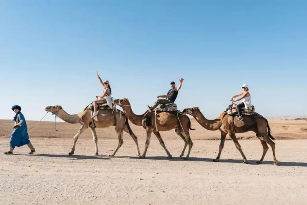 Paseo en Camello por Agafay – Parada para Té + Parada Fotográfica (45 Minutos de Trayecto) - 3