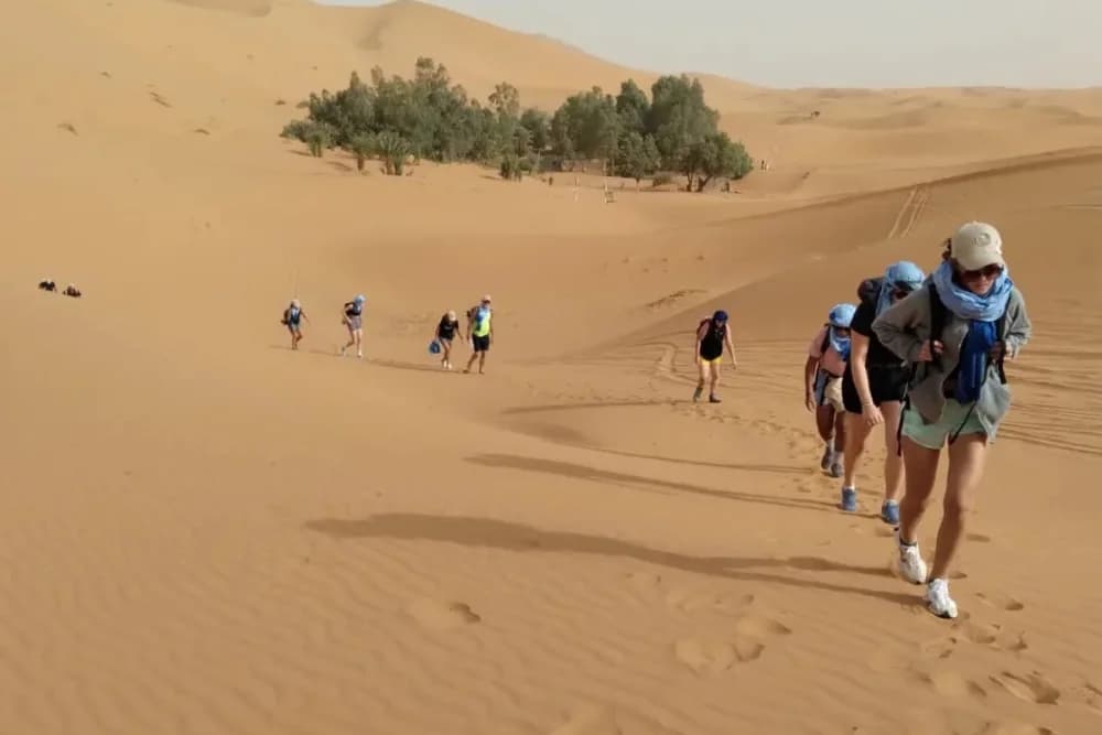 Merzouga Wild Bivouac (Máx. 4 Personas) – 10H Paseo en Camello + Guía + Fogata + Comidas + Sandboard Gratis + Soporte 4x4