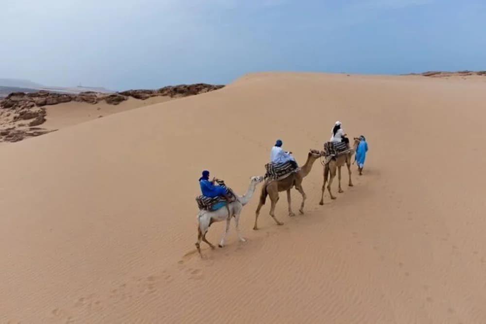 Agadir Camel Ride – 2 Hours at Oued Souss Takkat