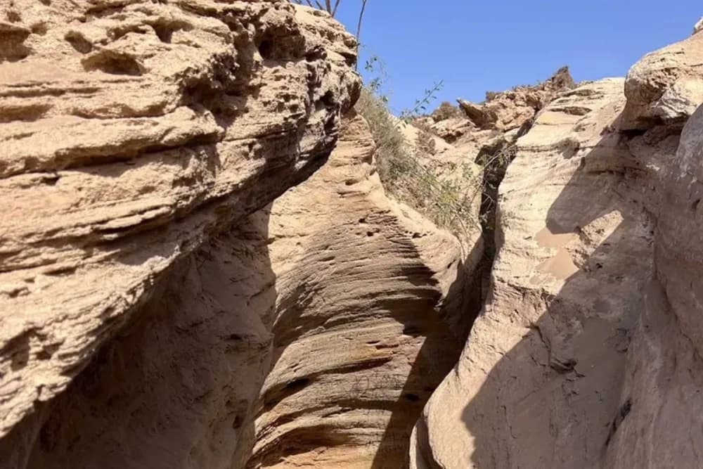 Timlalin Dunes Camel Ride (1 Hour) + Cave Discovery Walk - 4