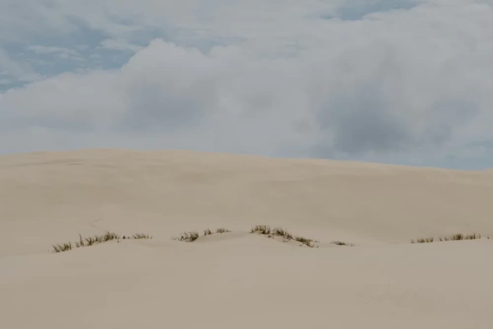 Timlaline Sand Dunes Sonnenuntergangs-Tour (16:00) – Cave Canyon Route + Guide - 4