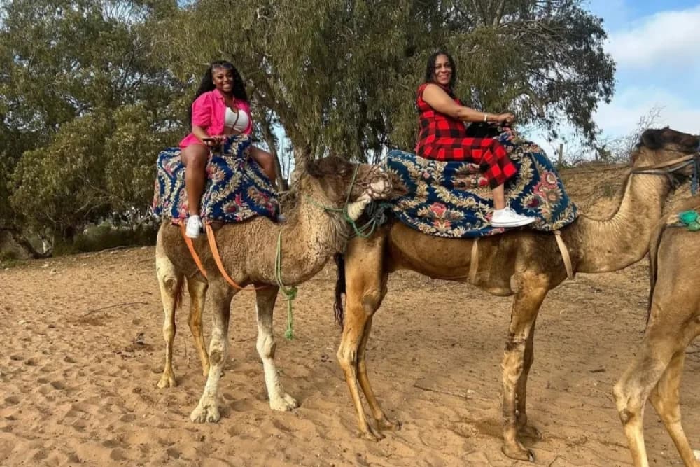 Tarrast Kamel-Erlebnis – 2 Stunden + BBQ + Tee & Musik + Shuttle - 3