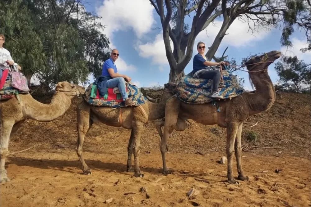 Tarrast Kamel-Erlebnis – 2 Stunden + BBQ + Tee & Musik + Shuttle