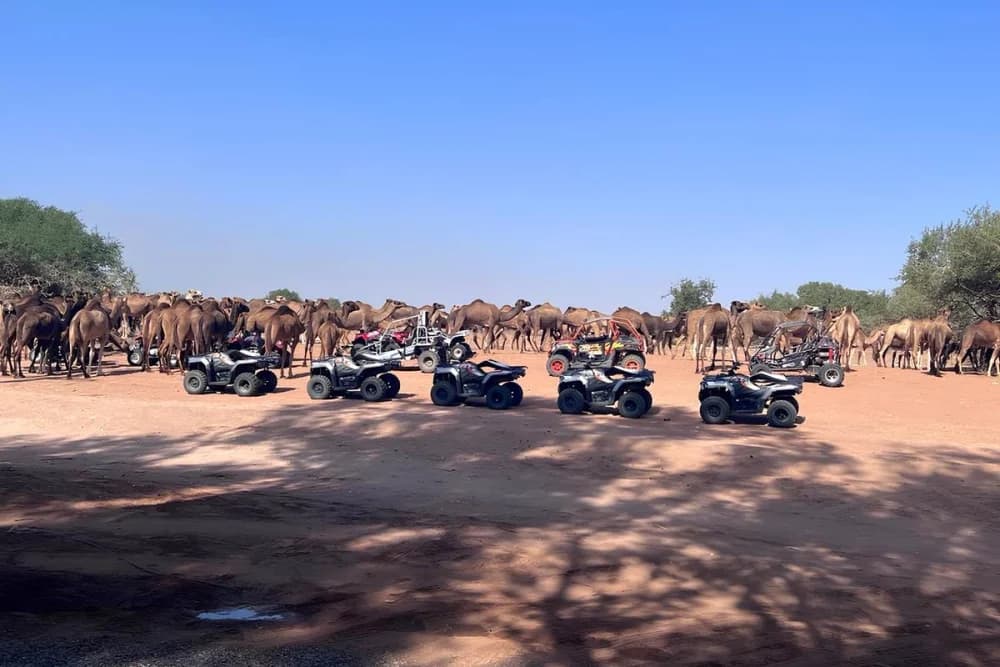 Quad en Sidi Bibi – salidas a las 10:00 y 14:00 - 3