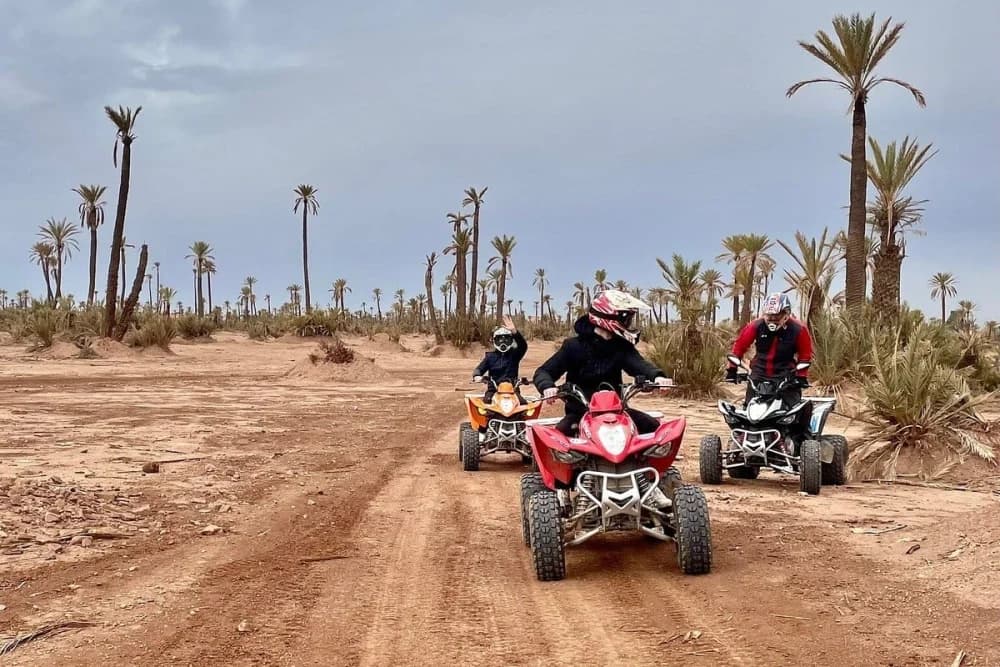 Marrakech Palmeraie Quad + Paseo en Camello – 2 Horas - 2