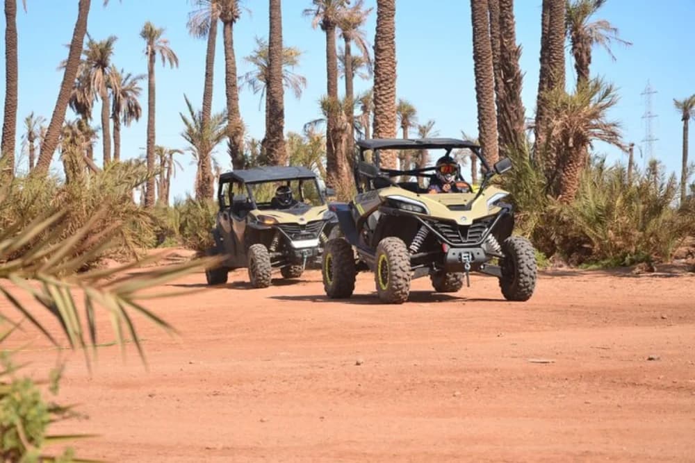 Marrakech Palmeraie Buggy Tour – 1h o 2h | 2–4 Plazas - 3