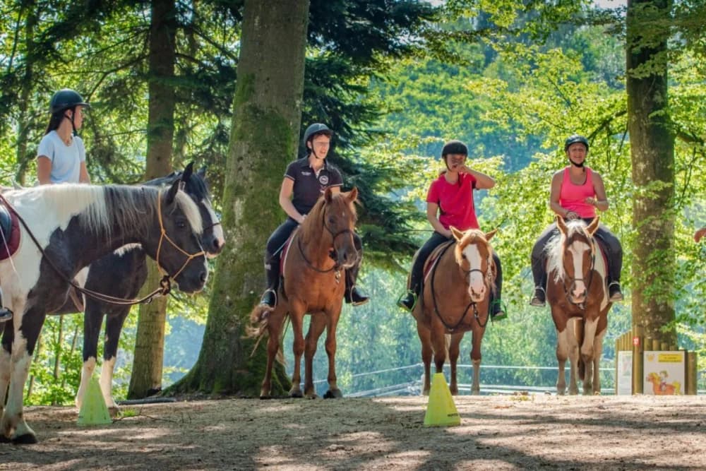 Paseos a Caballo en Oulad Tayeb (Fes) - 1