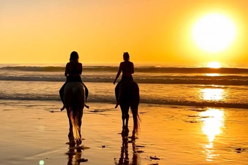 Paseo a Caballo en la Playa de Tánger - 1 Hora - Diurno o al Atardecer - 5
