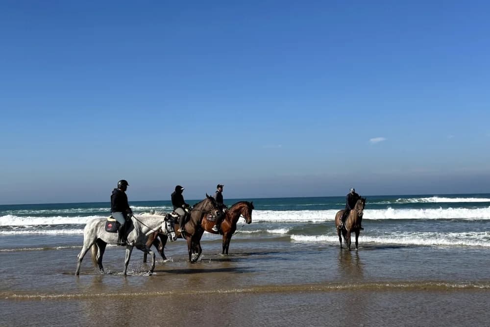 Paseo a Caballo en la Playa de Tánger - 1 Hora - Diurno o al Atardecer