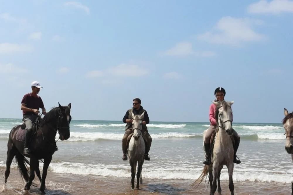 Paseo a Caballo en la Playa de Tánger - 1 Hora - Diurno o al Atardecer - 3